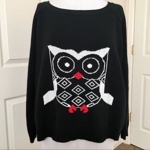 Hi- Low Hem Knit Owl Sweater